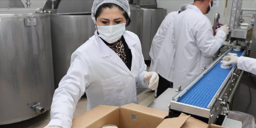 Pazarlamacı olarak başladı 17 yıl sonra tesisini kurdu: Yılda 700 ton üretim yapıyor 2